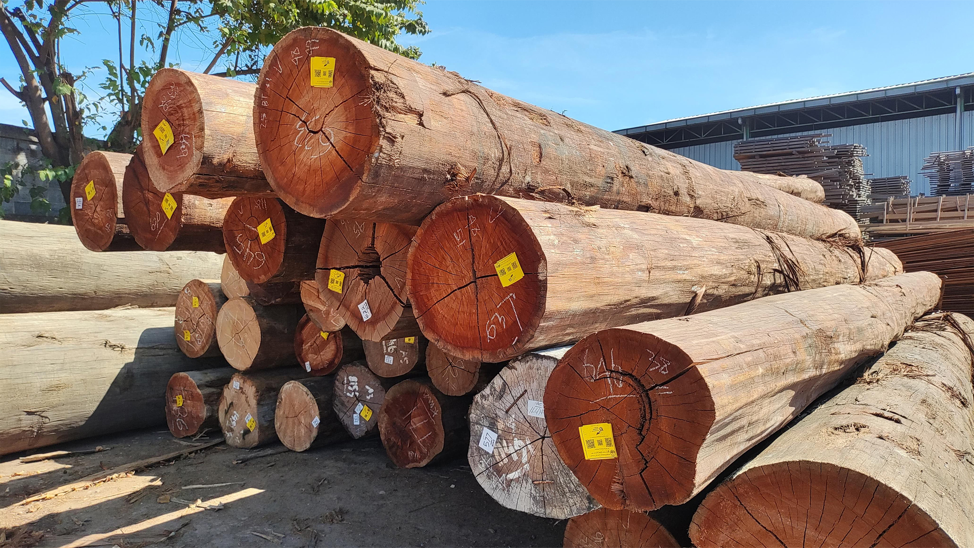 Log